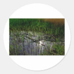 Shallow Pond Reeds Round Stickers