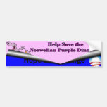 Shame I can believe in Bumper Sticker