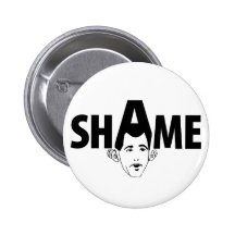 Shame on You Scott Walker! Pin