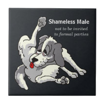 Shameless Male Tiles