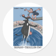 Shamooo Funny Cow Gifts & Collectibles Sticker