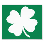 Shamrock  St Patricks Day Ireland Photographic Print