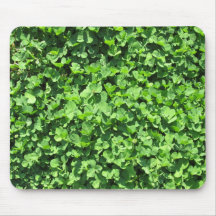 Shamrocks Mouse Pads