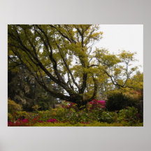 Shangri-La Poster