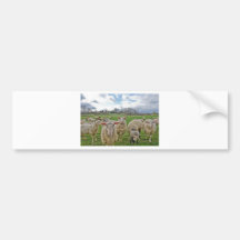 Shannon DE CELLE  PHOTOGRAPHY Bumper Sticker