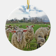 Shannon DE CELLE  PHOTOGRAPHY Ornaments