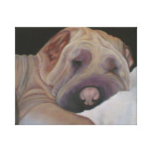 Shar-Pei Chinese Stretched Canvas Print
