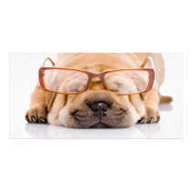 Shar Pei Photo Card Template
