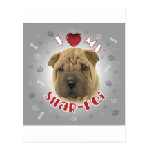 Shar-Pei Post Card