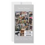 Shar Pei Rescue Xmas Card photo cards