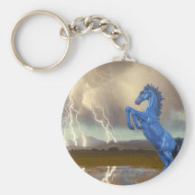 Share Favourite DIA Mustang Bronco Lightning Stor Keychains