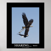 SHARING Bald Eagles DeMotivational Photo Poster