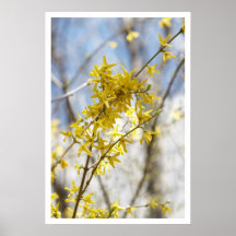 sharing sun print