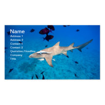Shark Business Card