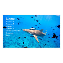 Shark Business Cards