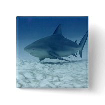 Shark Pin