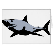 Shark Card