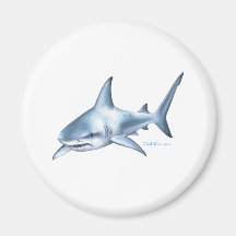 Shark Collection by FishTs.com Magnets
