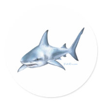 Shark Collection by FishTs.com