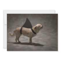 Shark Dog II Invitation