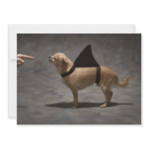 Shark Dog Invitation