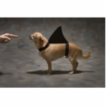 Shark Dog Photo Sculpture