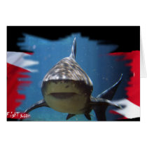 Shark Gear by Divers Den