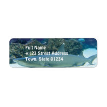Shark in Coral Reef Mailing Label
