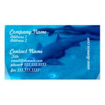Shark Pair Business Cards