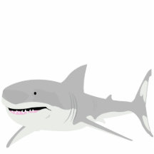 Shark Photo Sculpture