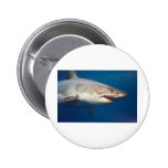 shark pin