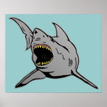 Shark Print