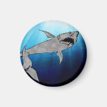 Shark Refrigerator Magnets