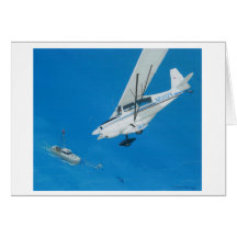 Shark Scouting off Cape Cod Note Card