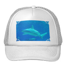 Shark Swimming Baseball Hat