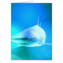 Shark Swimming Under the Surface Greeting Cards