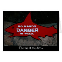 Shark Warning (The tip of the day...) Card