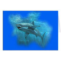 Sharks Collection by FishTs.com