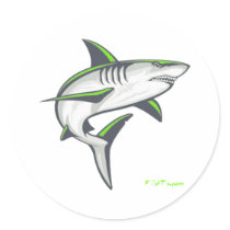 Sharks Collection by FishTs.com