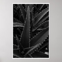Sharp as a Thought Posters