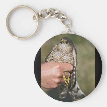 Sharp-shinned Hawk Key Chain