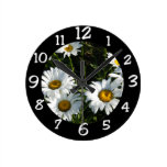 Shast Daisies