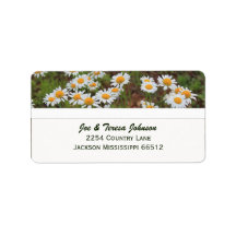 Shasta Daisies Address Labels