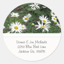 Shasta Daisies Address Stickers