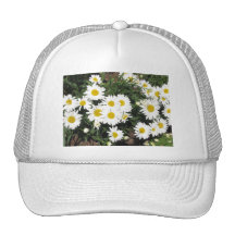 Shasta Daisies Baseball Cap Mesh Hats