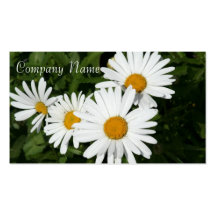 Shasta Daisies Business Cards