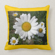 Shasta Daisies (Chrysanthemum maximum) pillows
