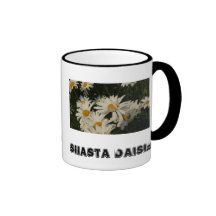 Shasta Daisies Coffee Mugs