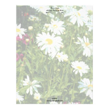 Shasta Daisies Letterhead