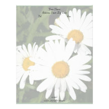Shasta Daisies Letterhead